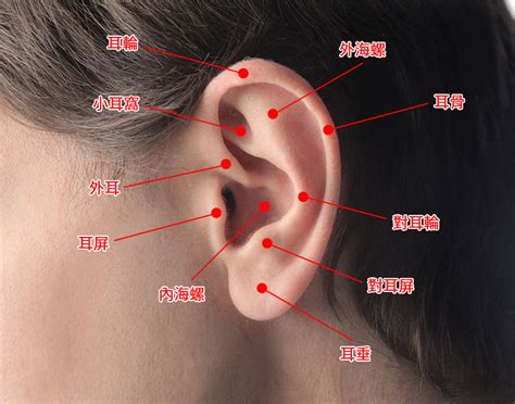 打耳骨注意事項|三、打耳洞需注意的安全性和風險